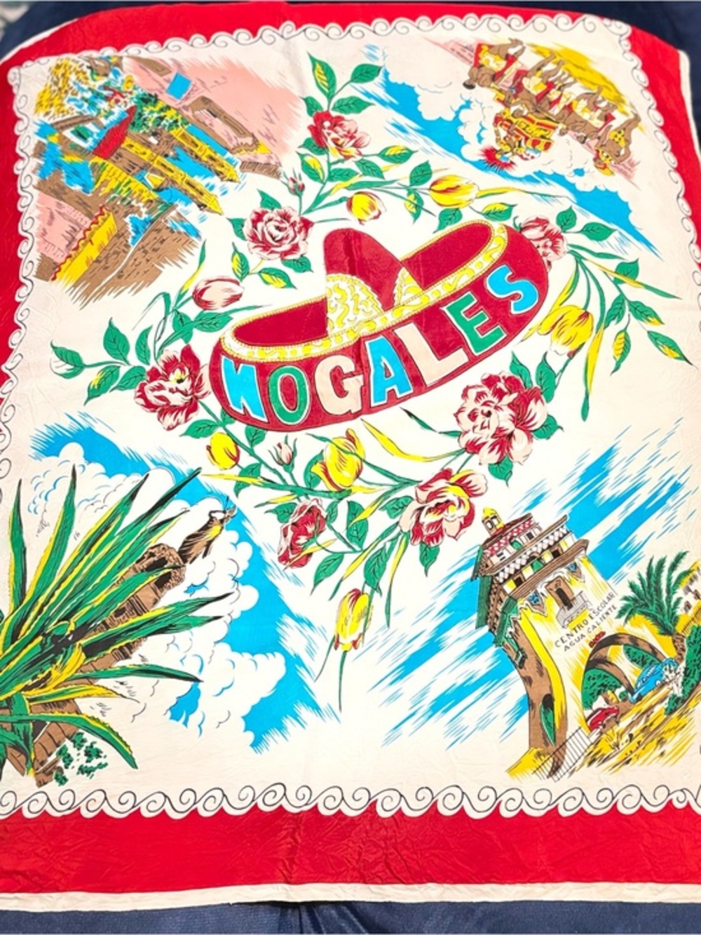 Nogales, Mexico Souvenir Scarf - Vibrant Floral Sombrero Design